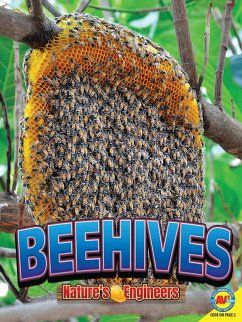 Beehives (eBook, PDF) - Forest, Christopher