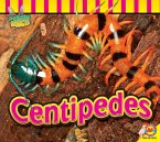 Centipedes (eBook, PDF)