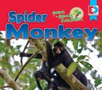 Animals of the Amazon Rainforest: Spider Monkey (eBook, ePUB)