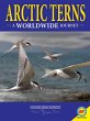 Arctic Terns: A Worldwide Journey... - Bild 1