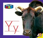 Yy (eBook, PDF)