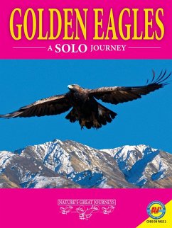 Cover Golden Eagles: A Solo Journey (eBook, PDF)