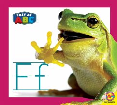 Cover Ff (eBook, PDF)