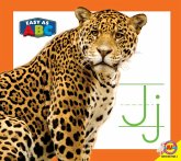 Jj (eBook, PDF)