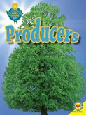 Producers (eBook, PDF)