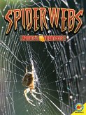Spiderwebs (eBook, PDF)