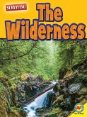 The Wilderness (eBook, PDF)