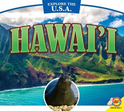 Hawai'i (eBook, PDF) - Durrie, Karen