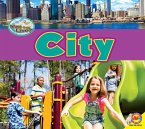 City (eBook, PDF)