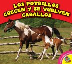 Los potrillos crecen y se vuelven caballos (eBook, PDF)