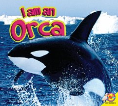 Orca (eBook, PDF) - Willis, John