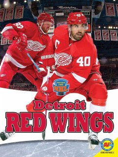 Cover Detroit Red Wings (eBook, PDF)
