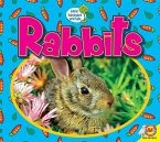 Rabbits (eBook, PDF)