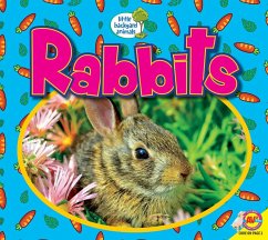 Cover Rabbits (eBook, PDF)