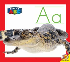 Cover Aa (eBook, PDF)