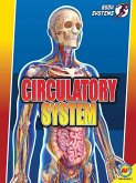 Circulatory System (eBook, PDF)