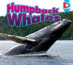 Humpback Whales (eBook, ePUB)