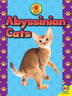Abyssinian Cats (eBook, PDF) - Gagne, Tammy