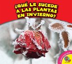 ¿Qué le sucede a las plantas en invierno? (eBook, PDF)