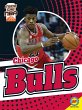 Chicago Bulls (eBook, PDF) - Bild 1