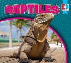 Reptiles (eBook, PDF)