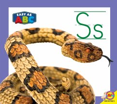 Cover Ss (eBook, PDF)