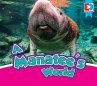 A Manatee's World (eBook, PDF) - Bild 1