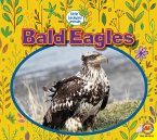 Bald Eagles (eBook, PDF)