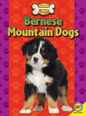 Bernese Mountain Dogs (eBook, PDF)