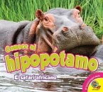 Conoce al hipopótamo (eBook, PDF)