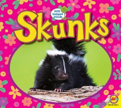 Cover Skunks (eBook, PDF)