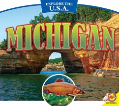 Cover Michigan (eBook, PDF)