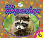 Los mapaches (eBook, PDF)