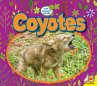 Coyotes (eBook, PDF) - Bild 1