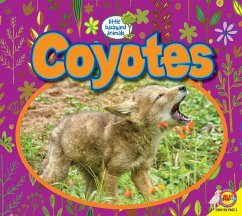 Coyotes (eBook, PDF) - Willis, John