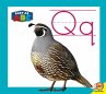 Qq (eBook, PDF) - Bild 1