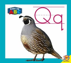 Cover Qq (eBook, PDF)