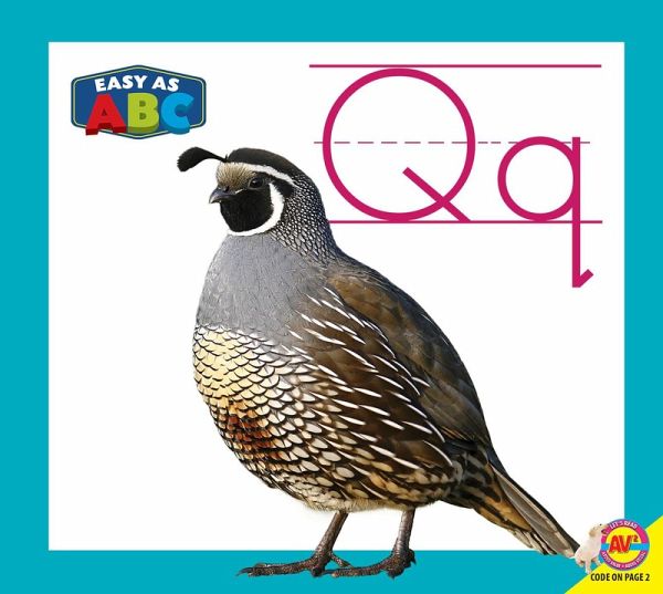 Qq (eBook, PDF)