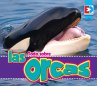 Todo sobre las orcas (eBook, ePUB) - Bild 1