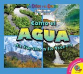 Cómo el agua da forma a la Tierra (eBook, PDF) Cómo el agua da forma a la Tierra (eBook, PDF)