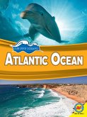 Atlantic Ocean (eBook, PDF)