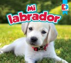 Mi labrador (eBook, ePUB)