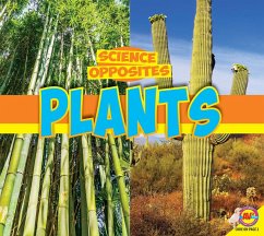 Cover Plants (eBook, PDF)