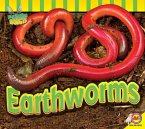 Earthworms (eBook, PDF)