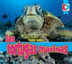 Todo sobre las tortugas marinas (eBook, ePUB)
