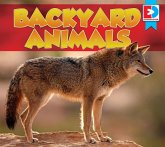 Backyard Animals (eBook, PDF)