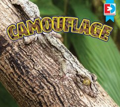 Camouflage (eBook, ePUB) - Gilles, Renae