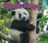 All About Pandas (eBook, PDF) - Bild 1