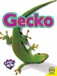 Gecko (eBook, PDF) - Bild 1
