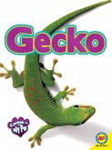 Gecko (eBook, PDF)